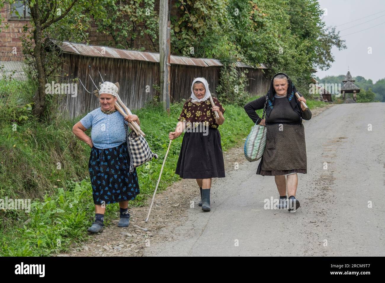 Frauen, die von den Feldern zurückkehren, Breb, Rumänien Stockfoto