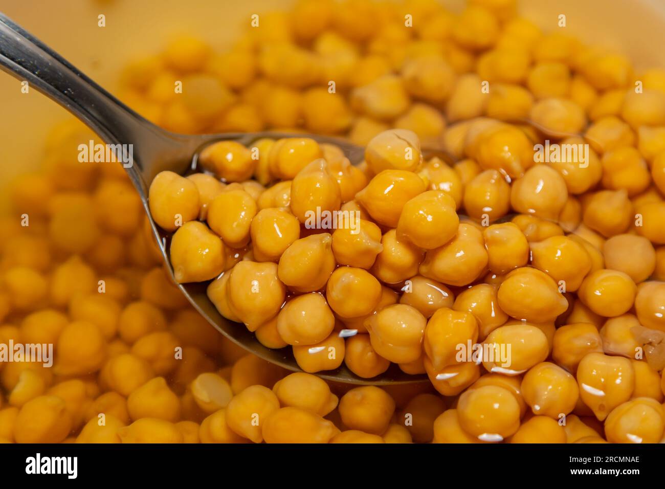 Kichererbse oder ägyptische Erbse, isoliert auf weißem Hintergrund. (Cicer arietinum) Stockfoto