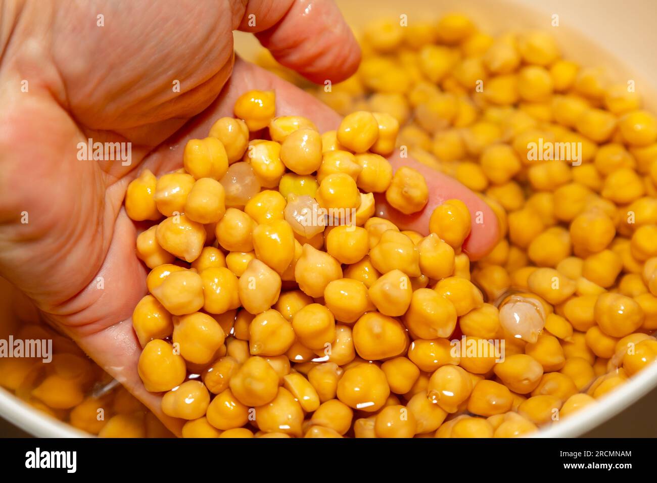Kichererbse oder ägyptische Erbse, isoliert auf weißem Hintergrund. (Cicer arietinum) Stockfoto