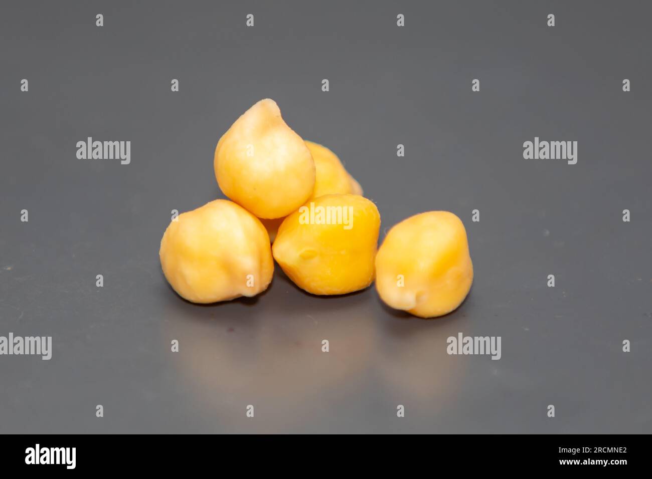 Kichererbse oder ägyptische Erbse, isoliert auf weißem Hintergrund. (Cicer arietinum) Stockfoto