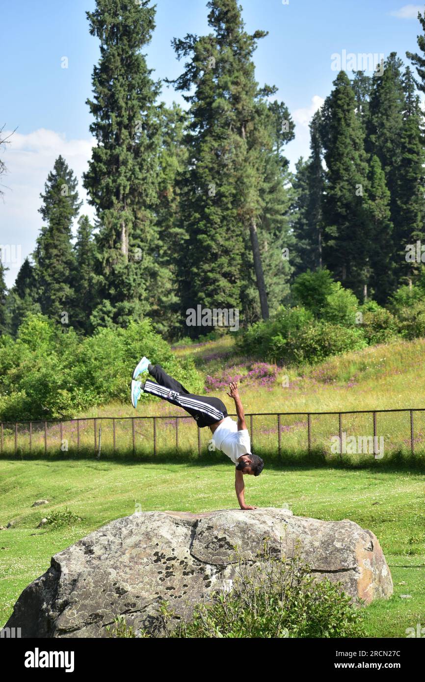 Ein junger Krieger begrüßt die Stärke der Natur: Er beherrscht Taekwondo inmitten der bezaubernden Wälder von Yousmarg, Budgam District, Foto von Danish Showkat Stockfoto