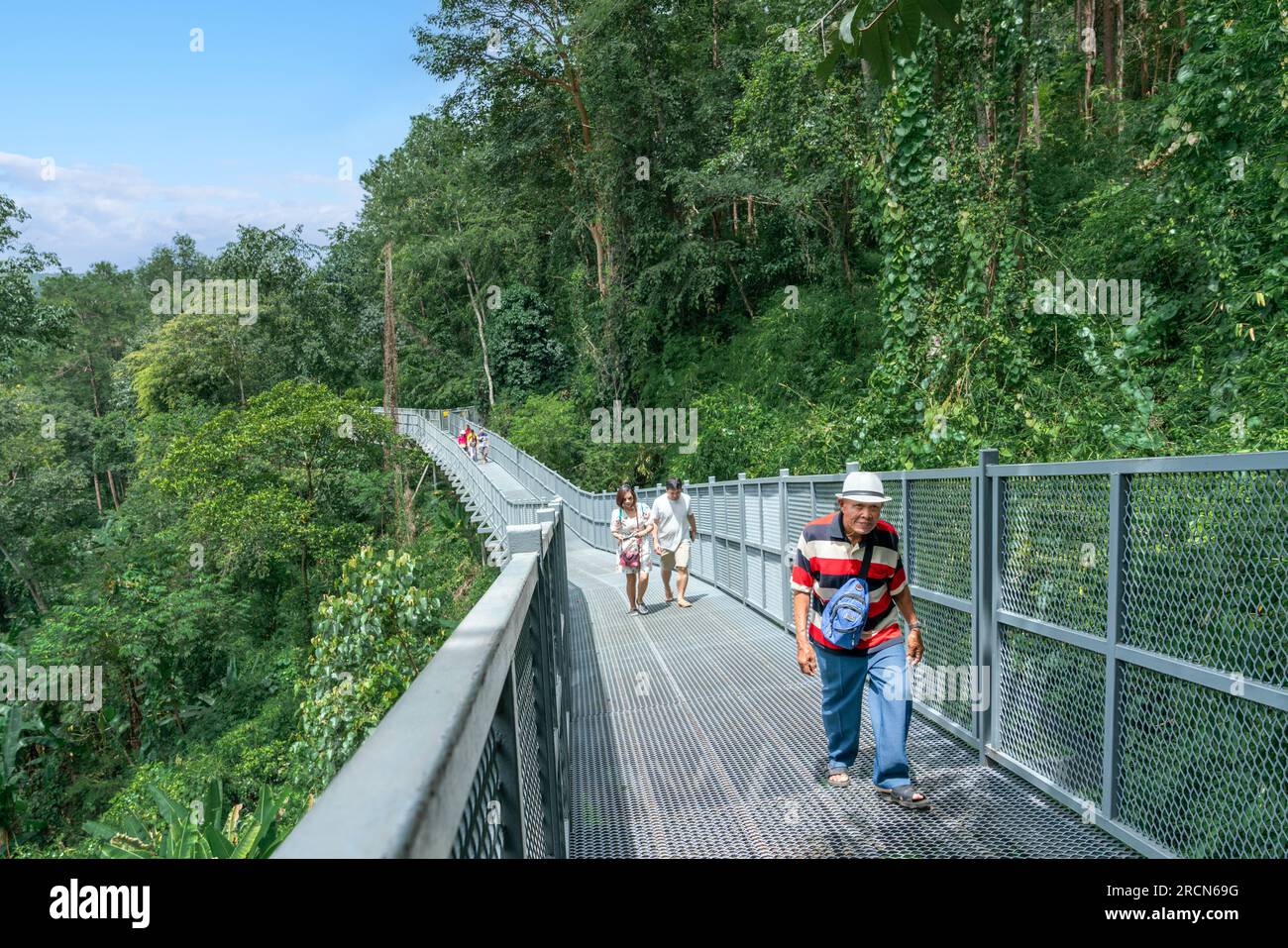 Hochebenen Dschungelwald Canopy Walkway im Mae Rim North Chiang Mai eine Touristenattraktion in den Queen Sirikit Botanic Gardens Stockfoto