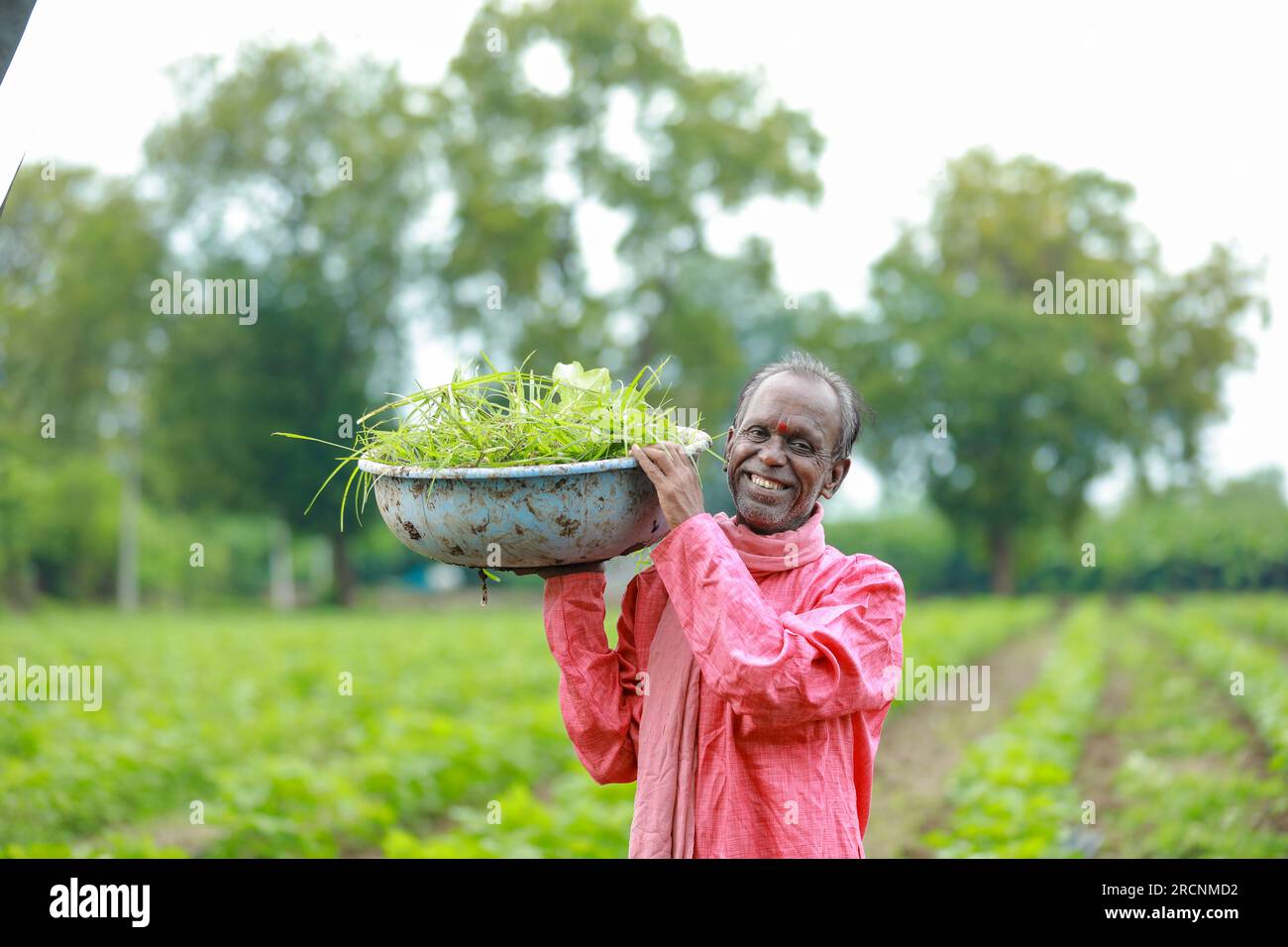 Indischer glücklicher Bauernarbeiter, der auf dem Bauernhof arbeitet Stockfoto