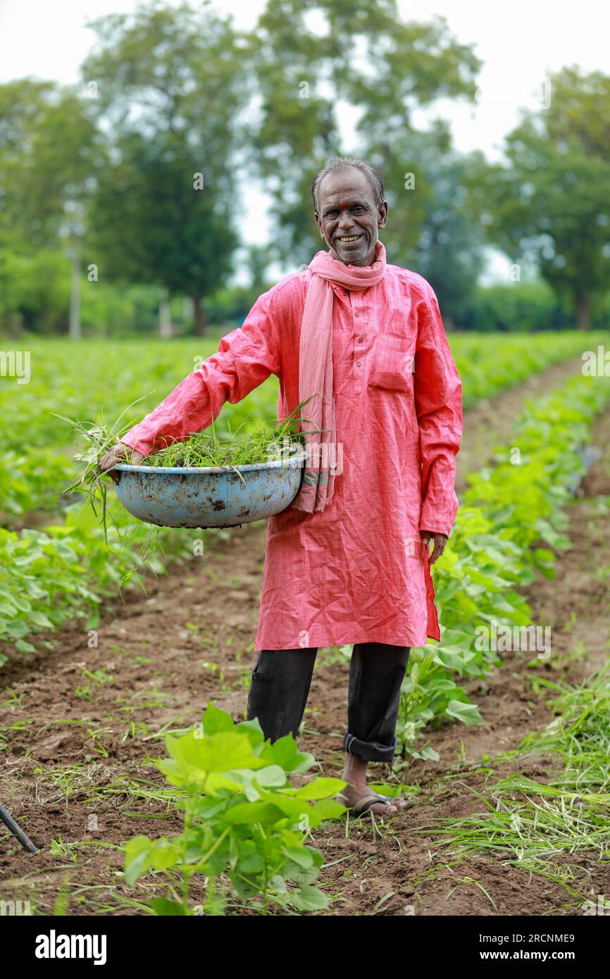 Indischer glücklicher Bauernarbeiter, der auf dem Bauernhof arbeitet Stockfoto