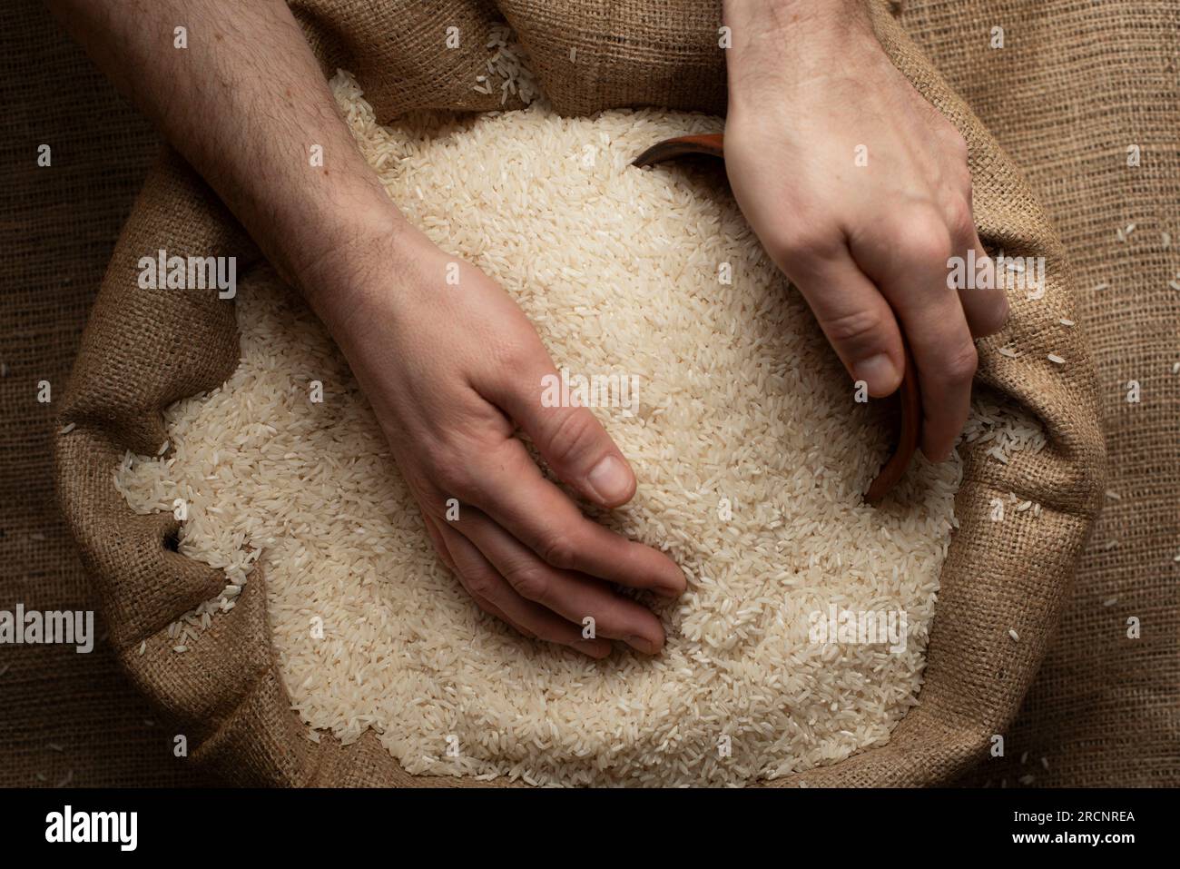 Menschliche Hände halten eine Hand voll Reis über einem Leinensack Stockfoto