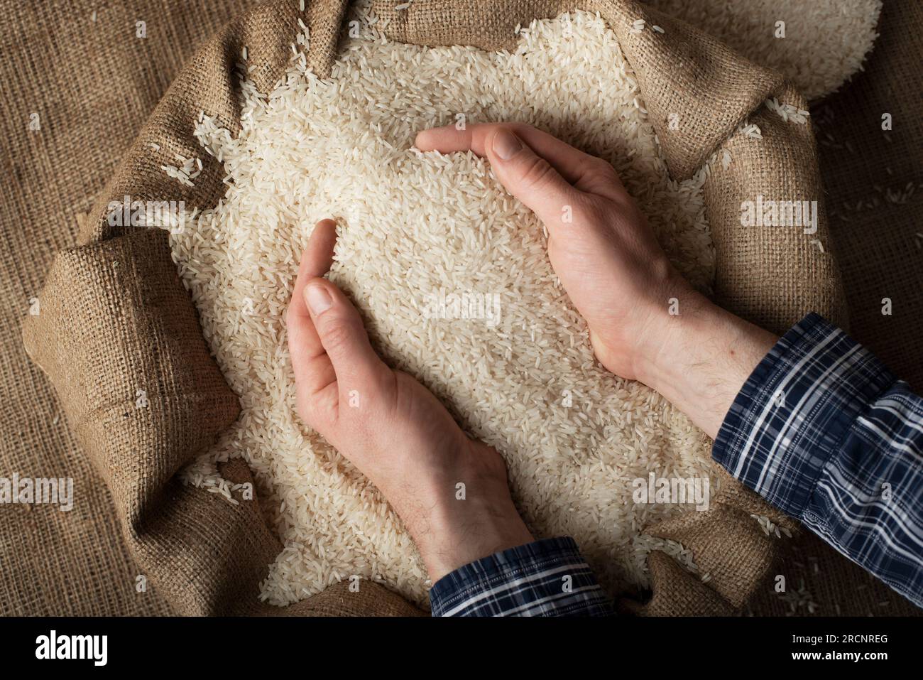 Menschliche Hände halten eine Hand voll Reis über einem Leinensack Stockfoto