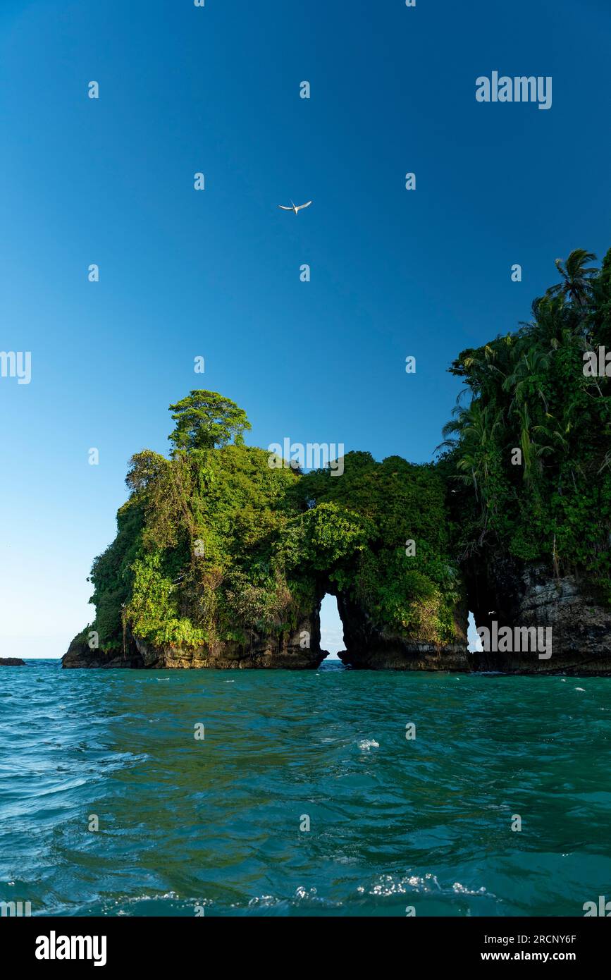 Bird Island (Isla Pajaro) Bocas del Toro, Panama - Stockfoto Stockfoto