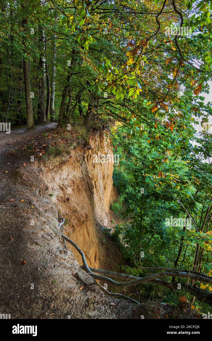 Landschaft mit Klippen aus Morain und Sand, Ostseeküste in Gdynia, Polen. Stockfoto