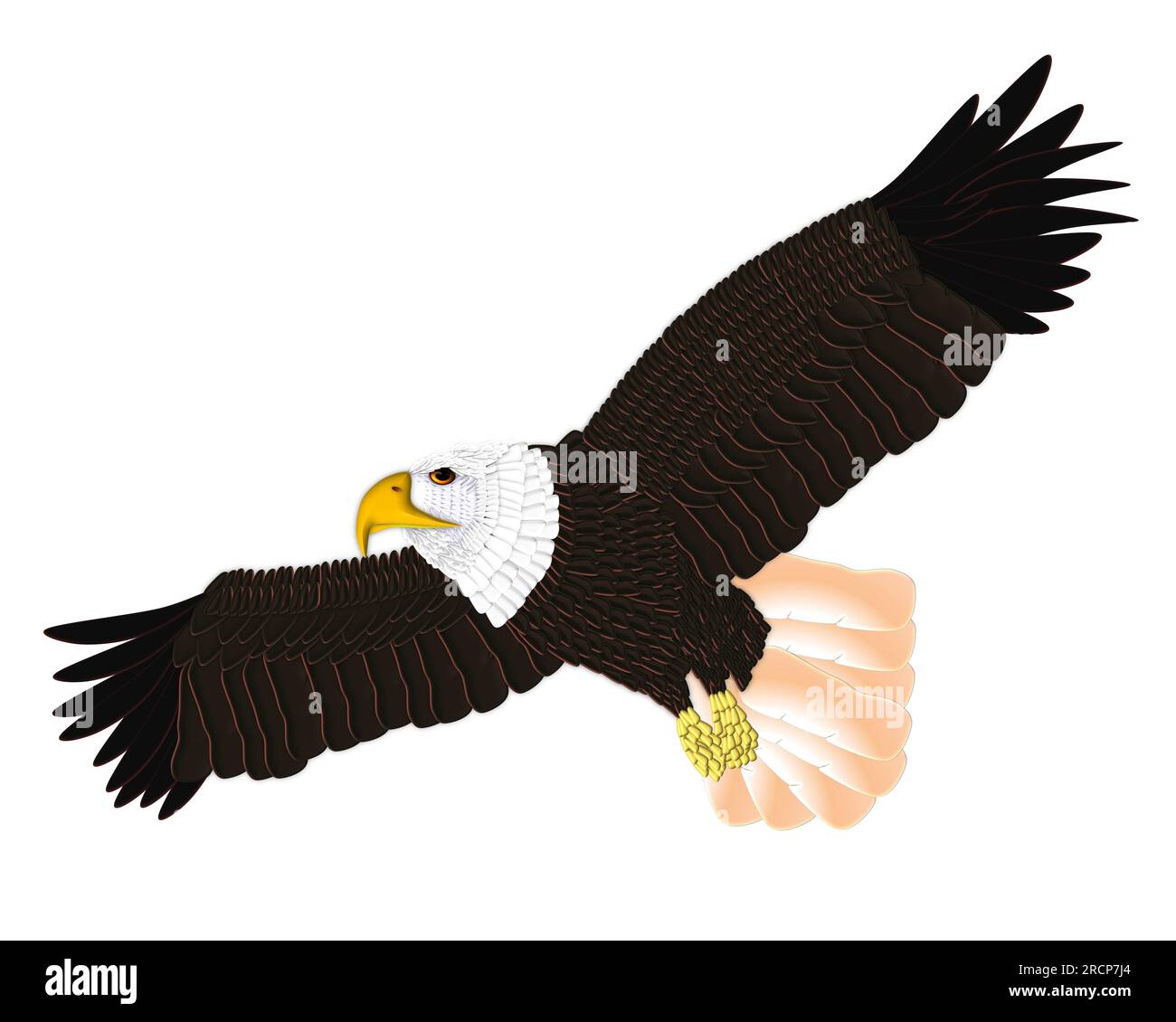 Adler um den Himmel jagen Stockfoto