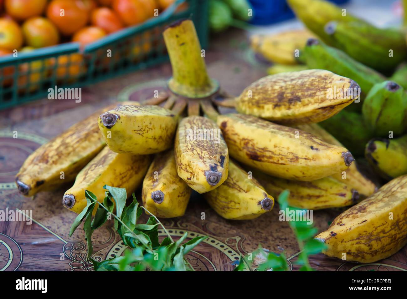 Bananen im Marktstand in der Stadt Victoria, Mahe Seychellen. Stockfoto