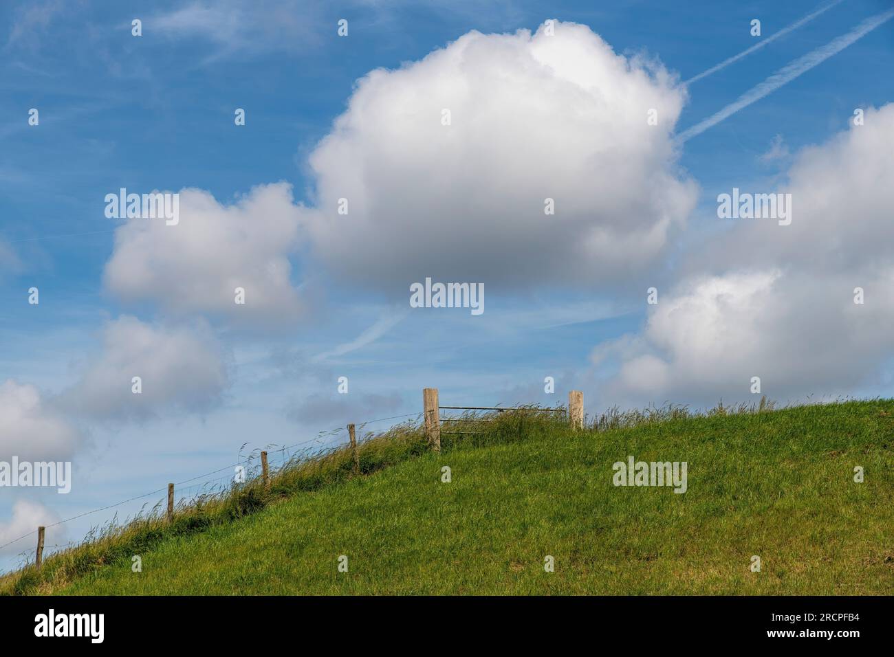 Blick aus dem niedrigen Winkel auf eine Wiese auf einem Deich mit Zäunung und Wiesentor vor einem blauen Himmel mit großen Kumuluswolken und einigen Contrails oder Dampfpfaden Stockfoto