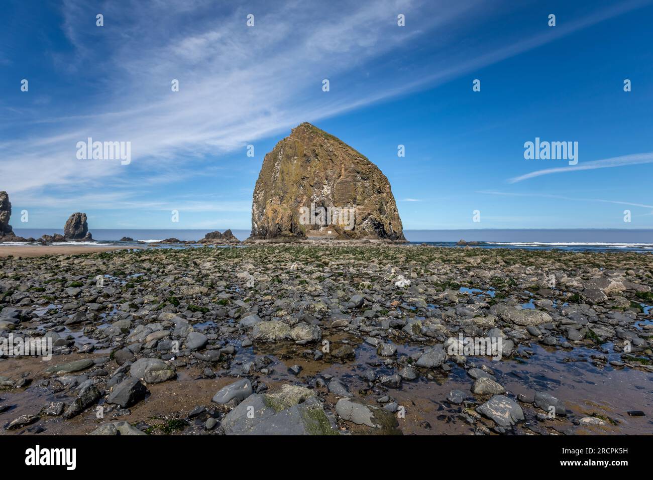 Felsen am Strand des Ecola State Park, Oregon Stockfoto