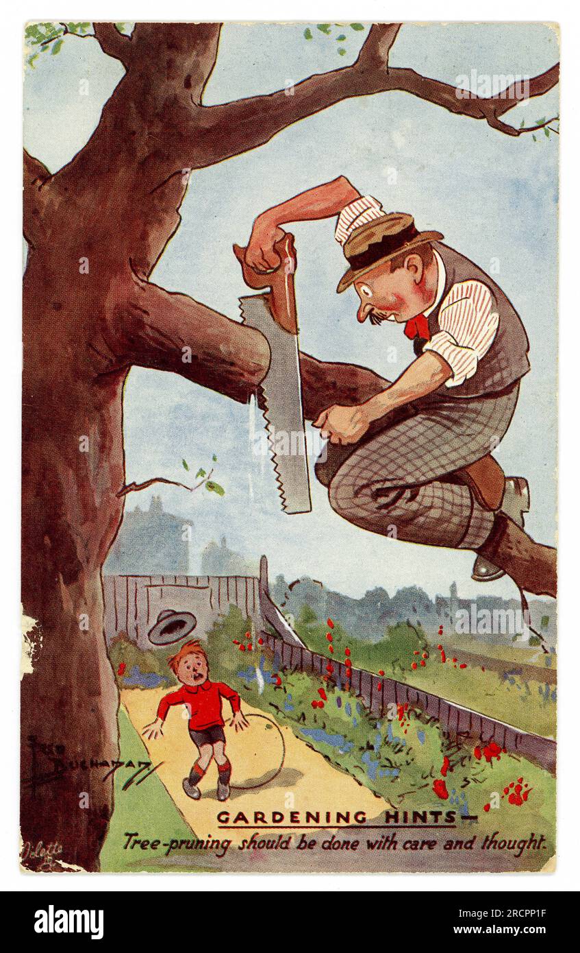 Original-Comic aus den 1930er Jahren Fred Buchanan Farb-/Farb-Cartoon-Postkarte „Gardening Hints“, die einen Mann im Garten zeigt, der einen Baum ohne die nötige Sorgfalt beschneidet, gefährlich, wie man einen Ast nicht beschneidet. Datiert/veröffentlicht am 17. Januar 1938, aber Serie stammt aus dem Jahr 1930. Stockfoto