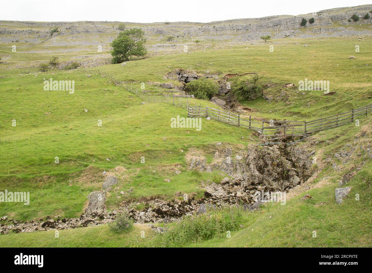 Nebenfluss Doe Stockfoto