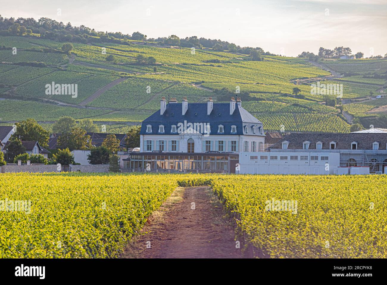 Reportage photos en montgolfière au-dessus de Pommard avec France Montgolfières. Vignes et château de Pommard. Fotobericht in einem Heißluftballon Stockfoto