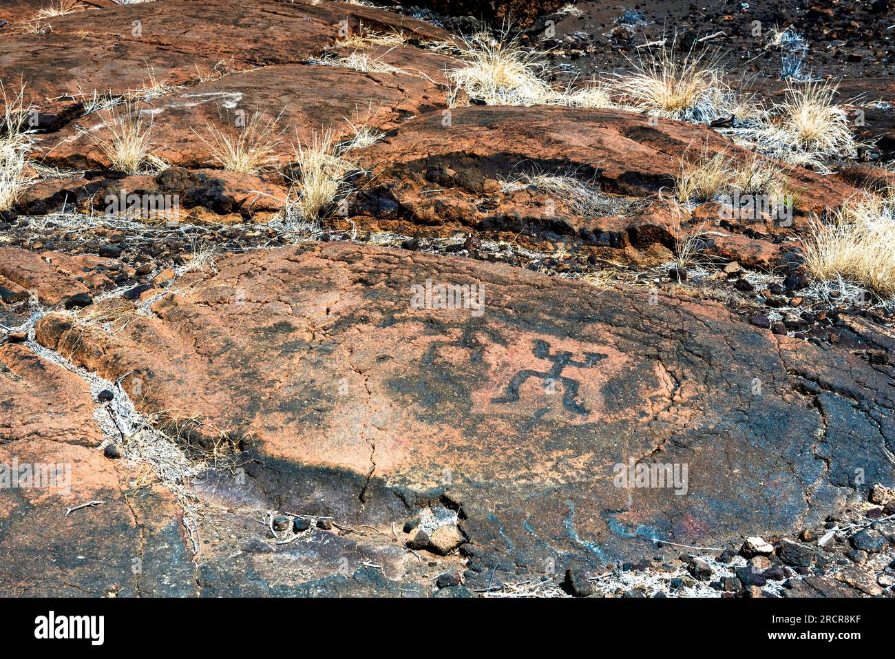 Details zu einer Petroglyphe, die von anakienten hawaiianern geschnitzt wurde Stockfoto