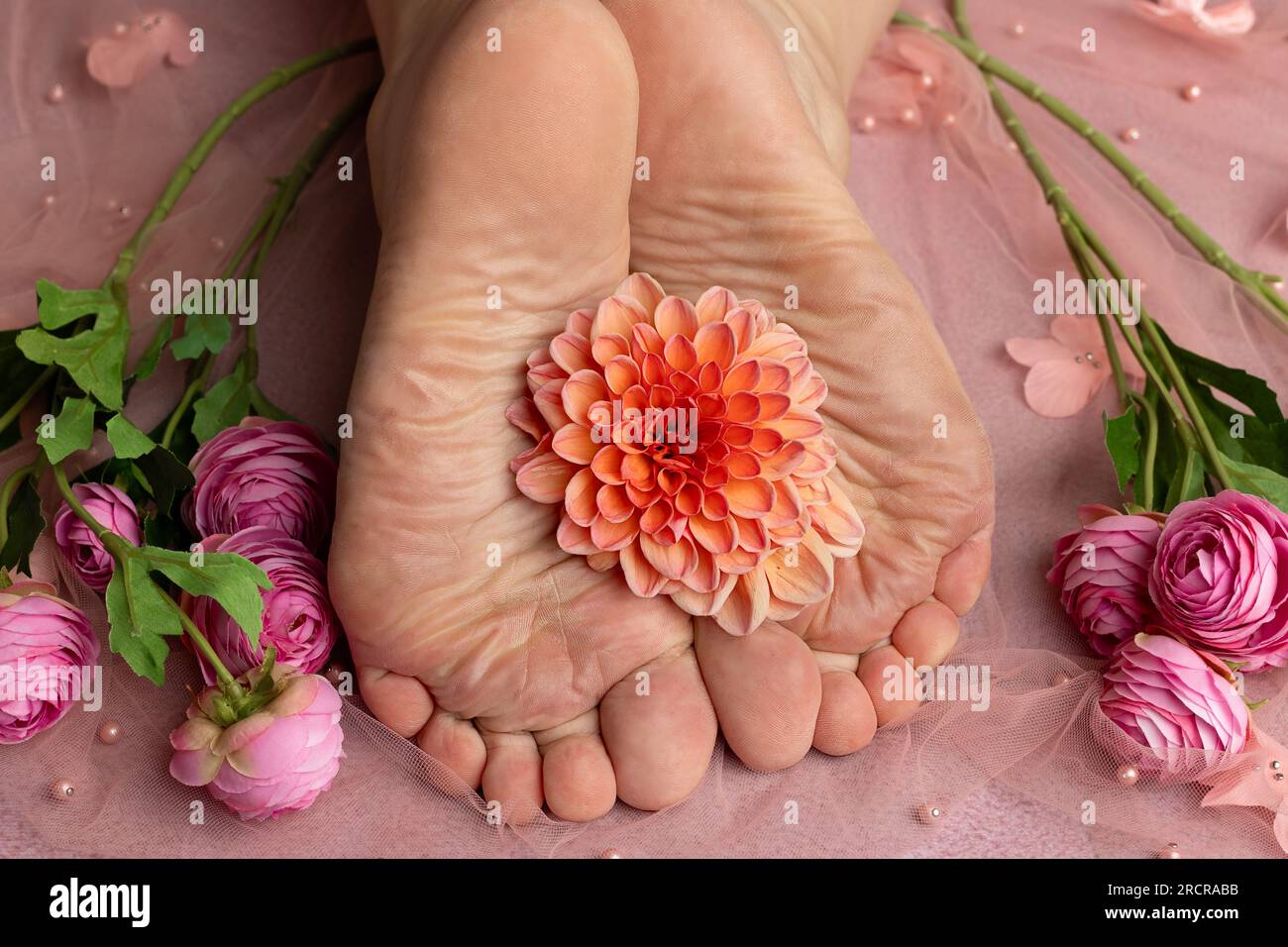 Nahaufnahme von zerknitterten weiblichen Fußsohlen auf einer weißen Spitze, mit einer Korallendahlienblume zwischen den Füßen Stockfoto