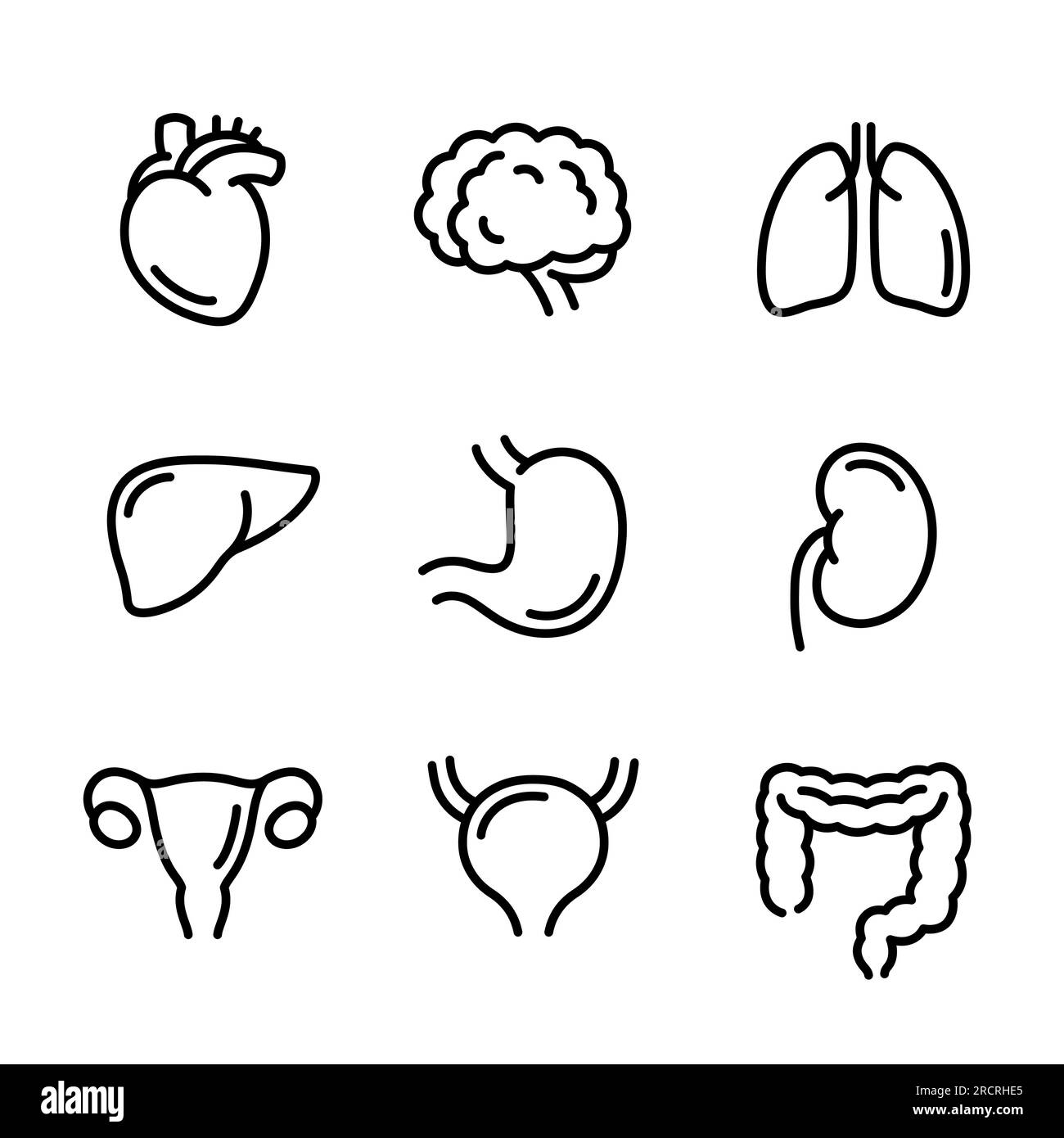 Symbolsatz menschlicher innerer Organlinien. Handgezeichnete Doodle-Symbole, schwarz-weiße Zeichnung. Darstellung des isolierten Vektor-Clips. Stock Vektor
