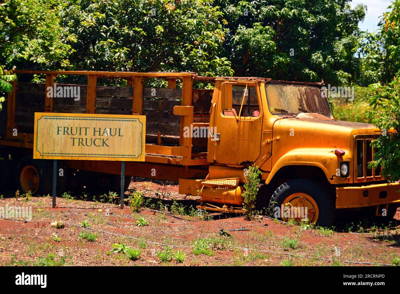 Auf einer Ananasplantage in Hawaii wird ein alter Obsttransporter ausgestellt Stockfoto