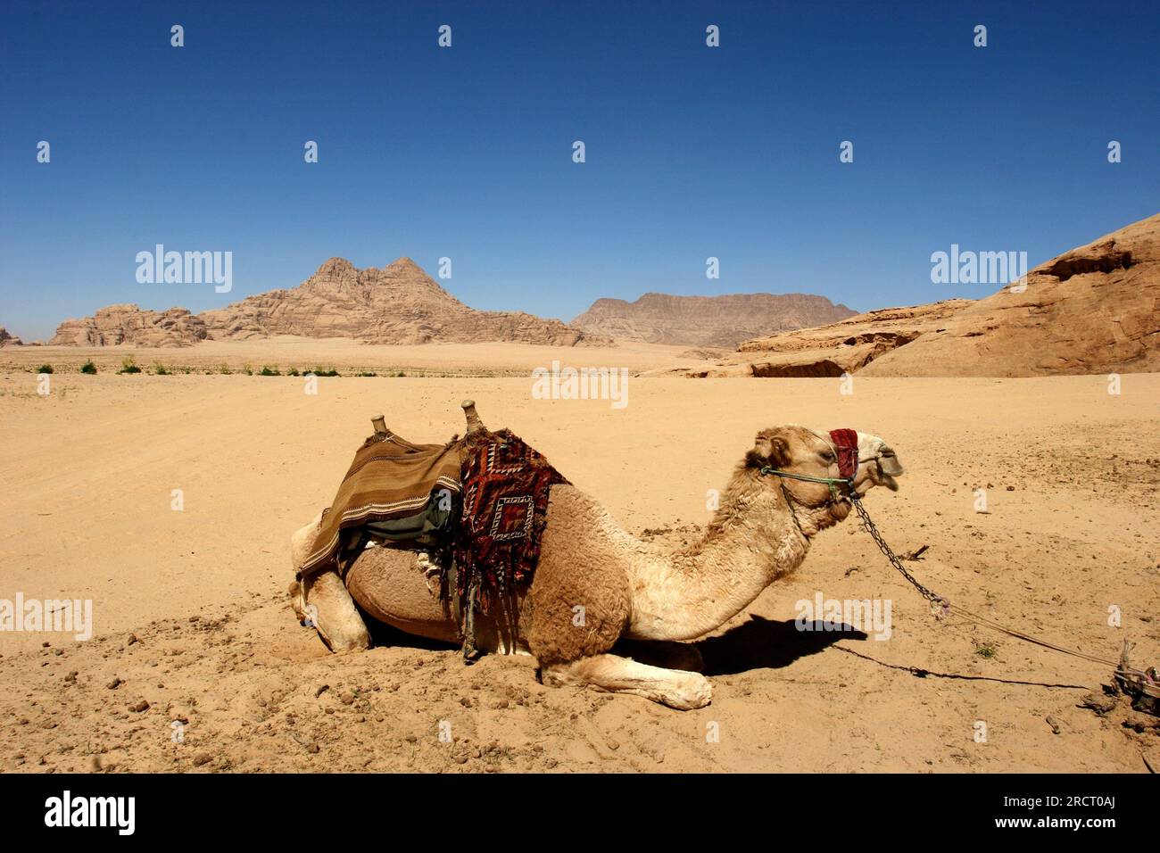 Uadi Rum, Wadi Rum, وادي رم, Wādī Rum, Wüste, Tal des Mondes, Akaba, Jordanien Stockfoto