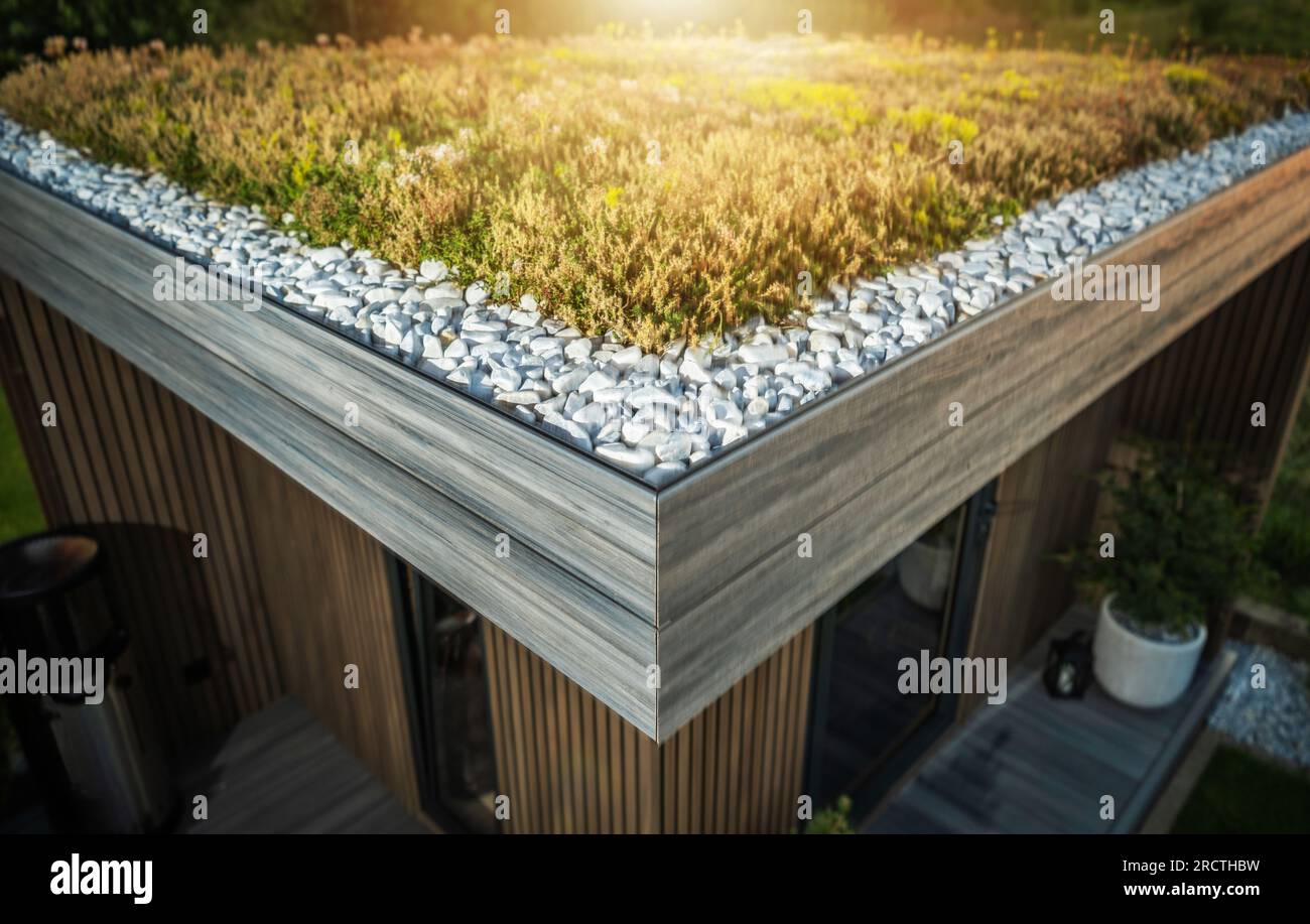 Moderner Gartenschuppen Sedum Living Dachecke Nahaufnahme Stockfoto