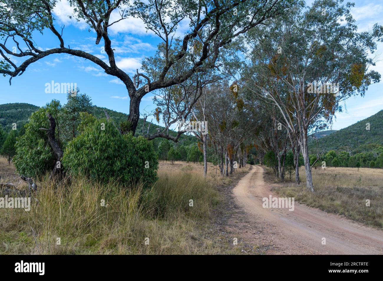 Unbefestigte Zufahrtsstraße zum Broadwater Campground, Sundown National Park, Queensland Australien Stockfoto