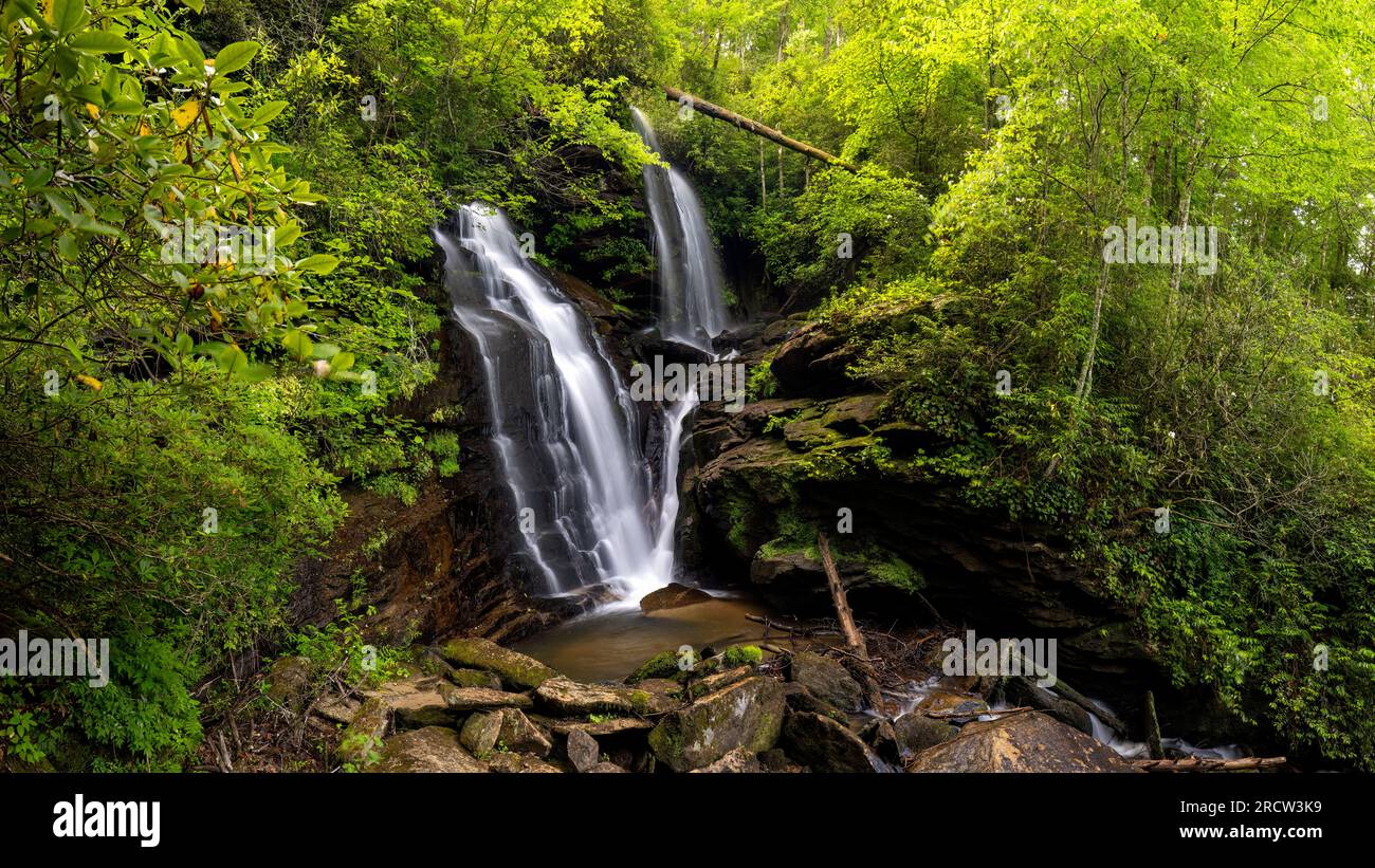 Reece Place Falls - Headwaters State Forest, in der Nähe von Brevard, North Carolina, USA Stockfoto