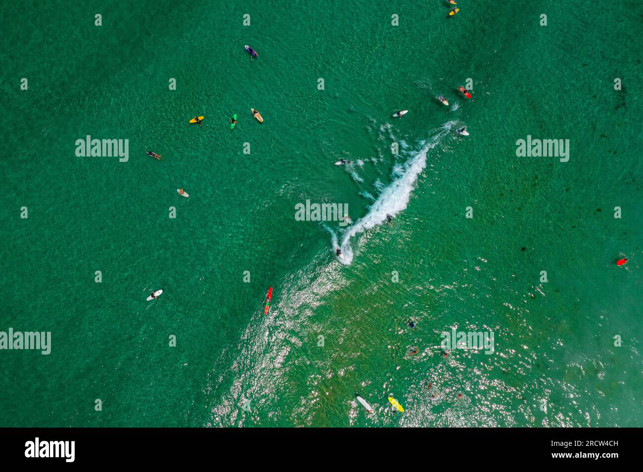 Draufsicht über eine Gruppe von Surfern im seichten grünen Wasser Stockfoto