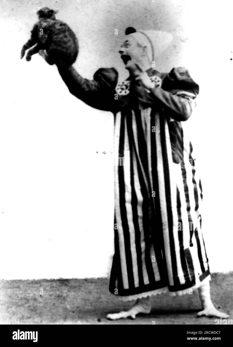 zirkus, Clown, Clown mit Katze, Ende des 19. Jahrhunderts, ZUSÄTZLICHE-RECHTE-FREIGABE-INFO-NICHT-VERFÜGBAR Stockfoto