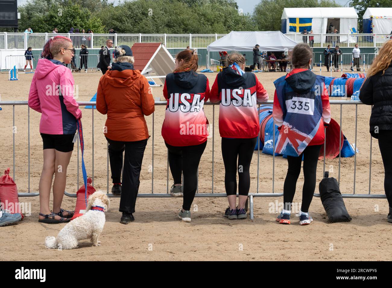 Die Junior Open Agility World Championships 2023. Stockfoto