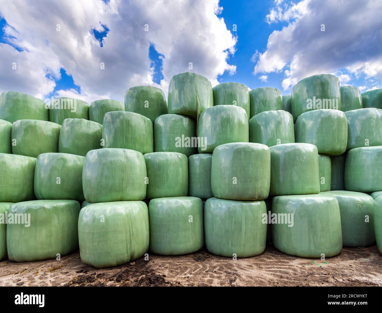 Gestapelte Strohballen mit grünem, wetterfestem Kunststoff - Saint-Michel-en-Brenne, Indre (36), Frankreich. Stockfoto