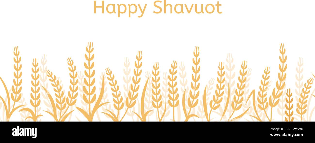 Shavuot Hintergrund mit gelben Weizenohren, frohe Jahreszeit und festlich. Goldene Gerste isoliert, israel-Festival, Landwirtschafts-Banner Stock Vektor