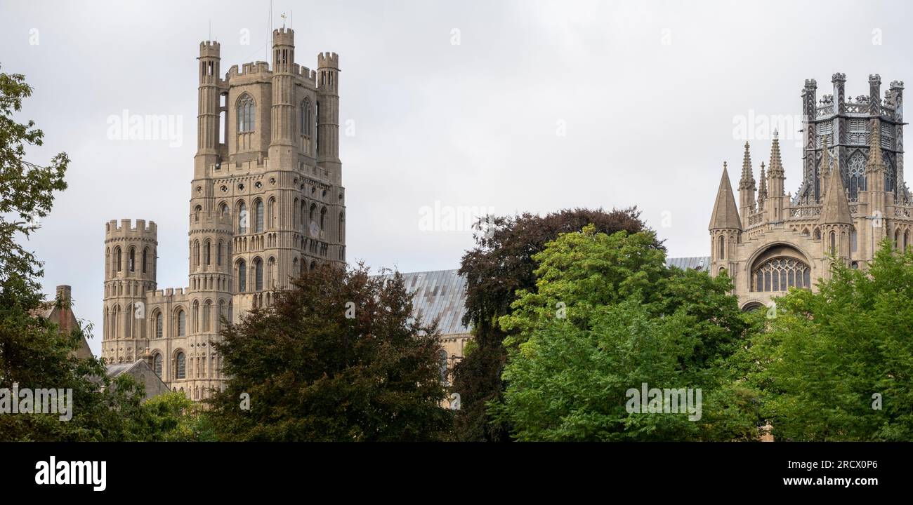 Ely Cathedral mit Bäumen im Vordergrund Stockfoto