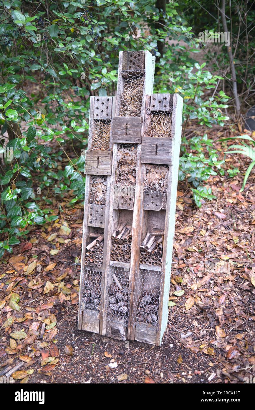 Bee Hotel Aix en Provence Frankreich Stockfoto