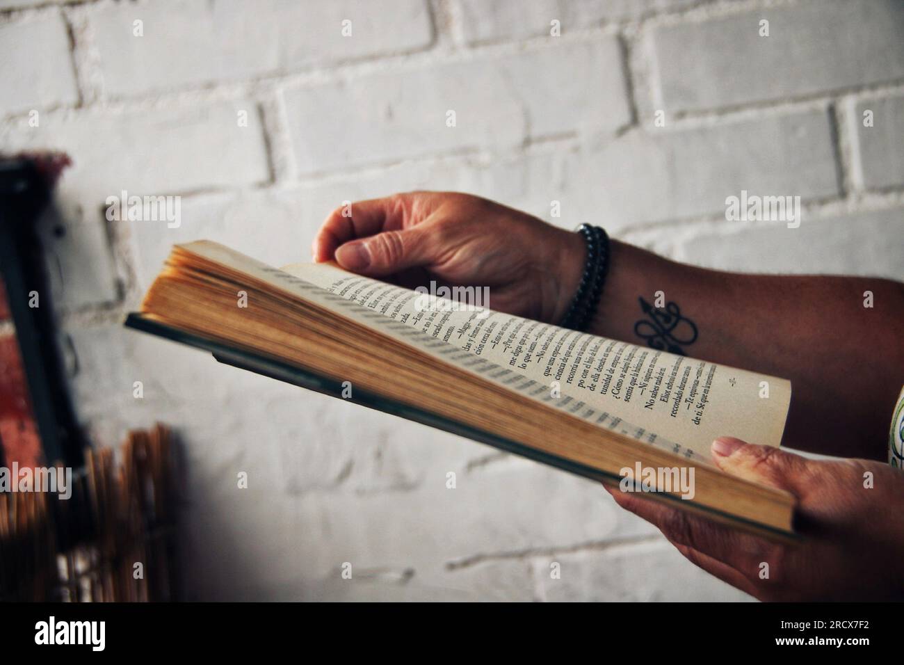 Person, die ein Buch liest. Stockfoto