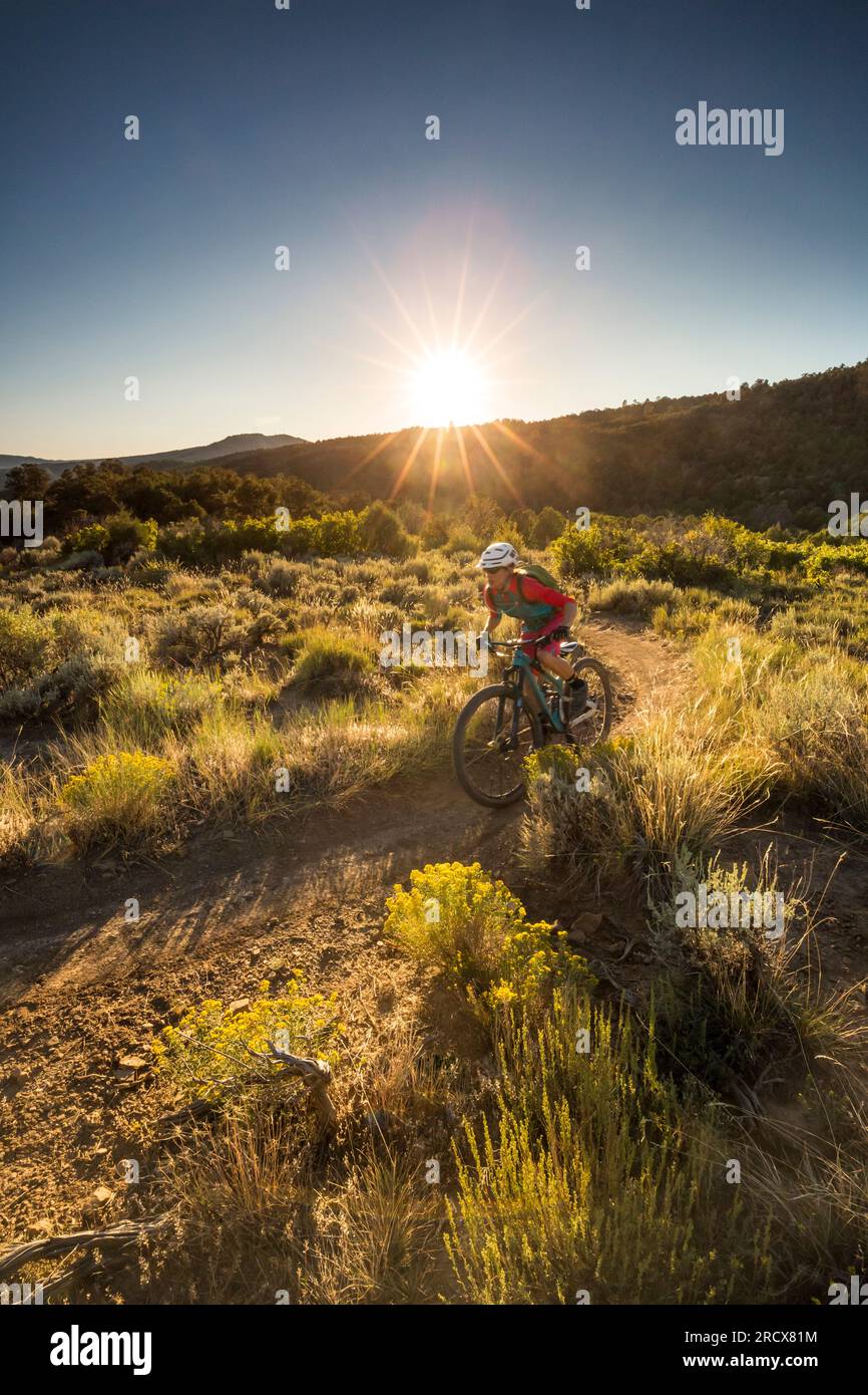 Eine Frau, die kurz vor Sonnenuntergang auf einem Mountainbike unterwegs ist. Stockfoto