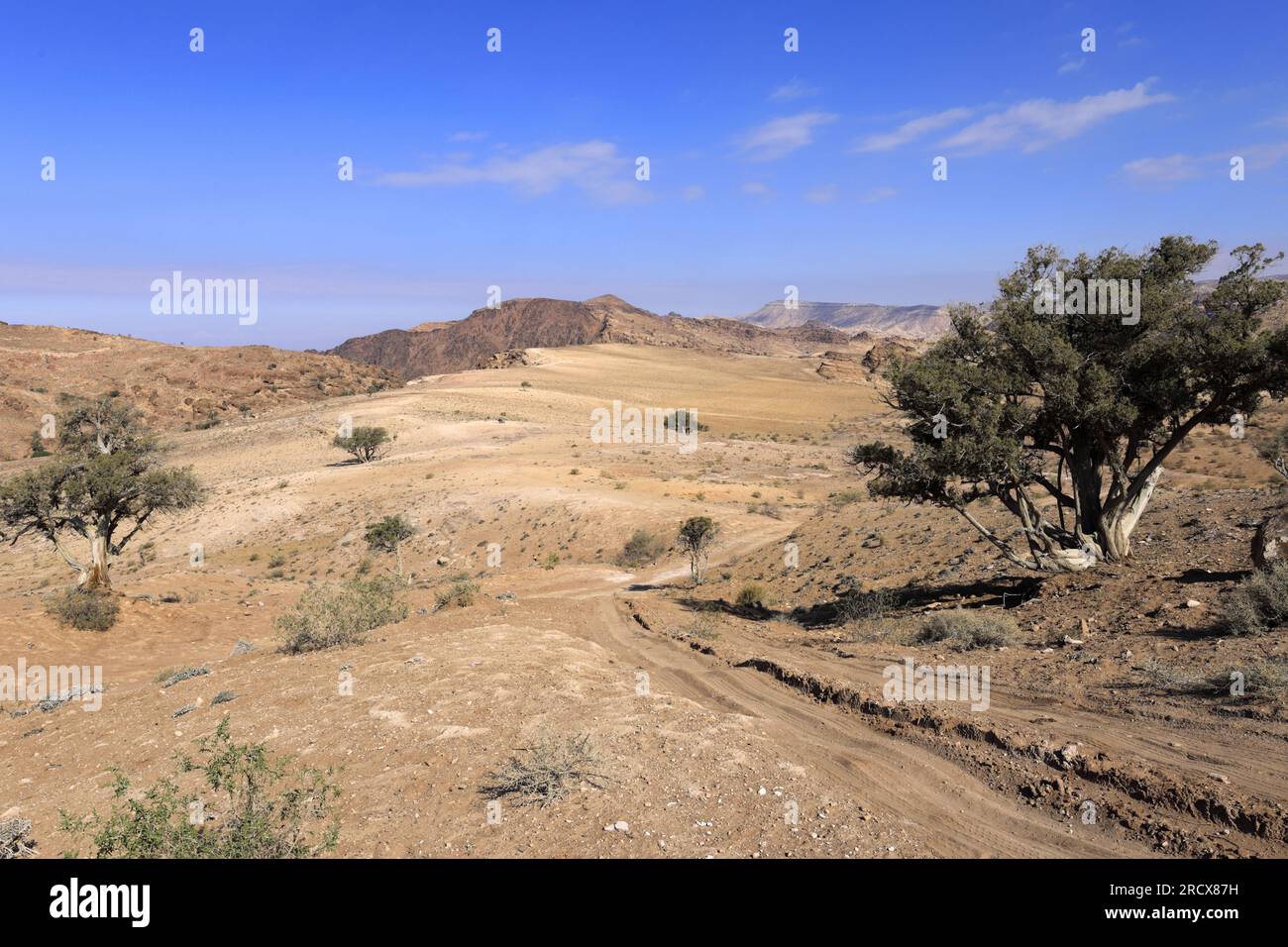 Blick über die Landschaft um Wadi al-Aghlat vor Little Petra, Al-Sharat Gegend von Jordanien, Naher Osten Stockfoto