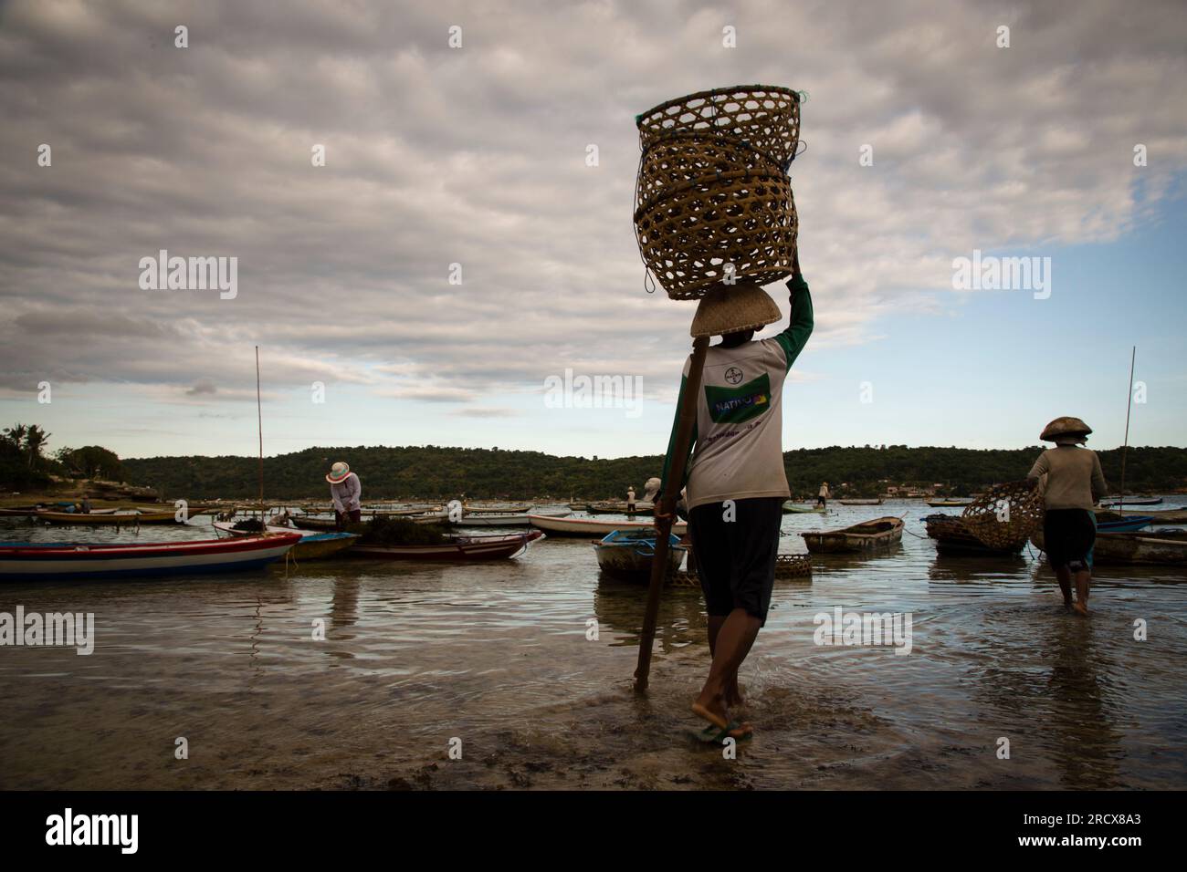 Ein Seetang-Bauer, der einen Korb am Kopf trägt, geht zurück ins Meer Stockfoto
