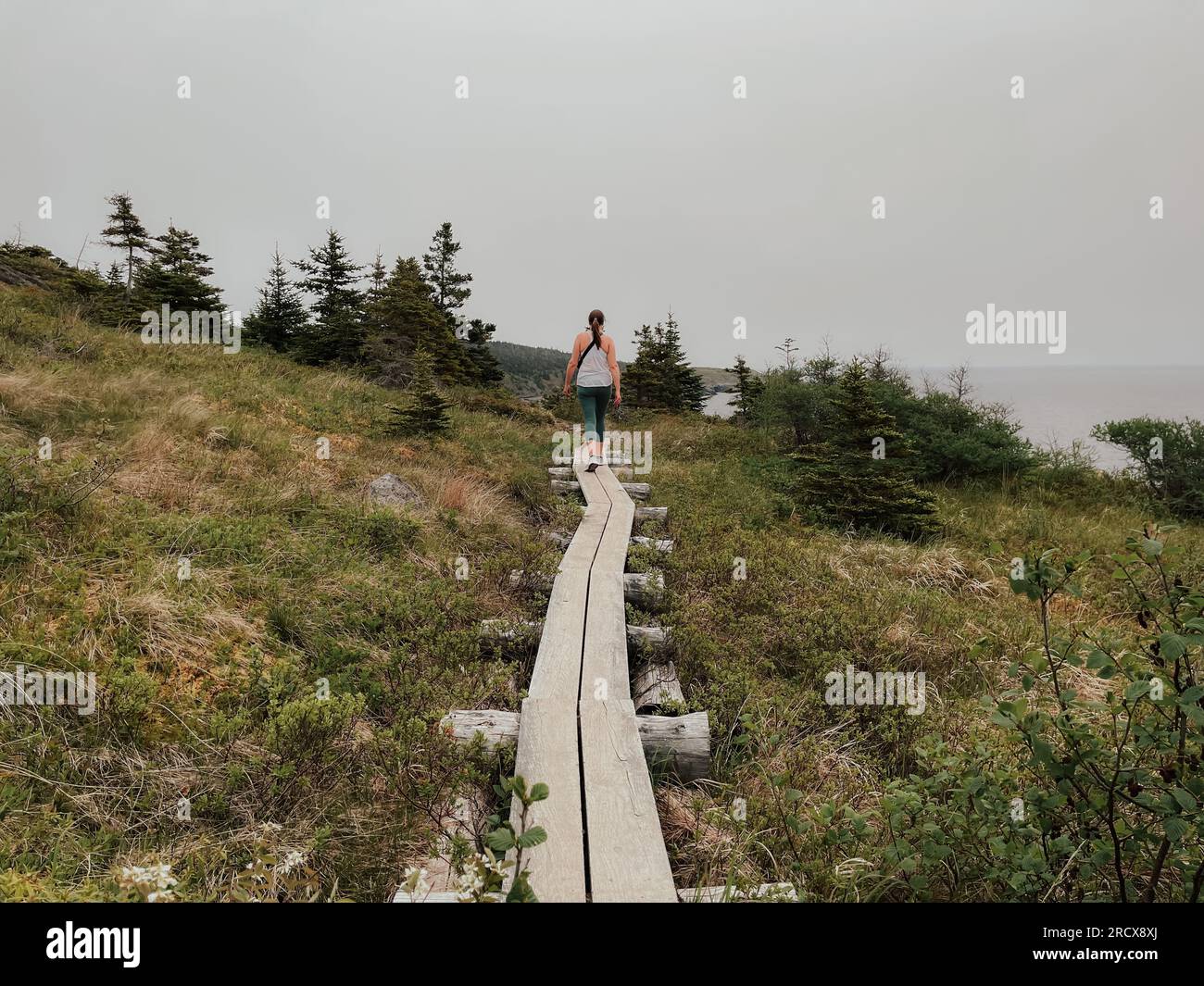 Frau, die an der Küste von Neufundland entlang spaziert. Stockfoto