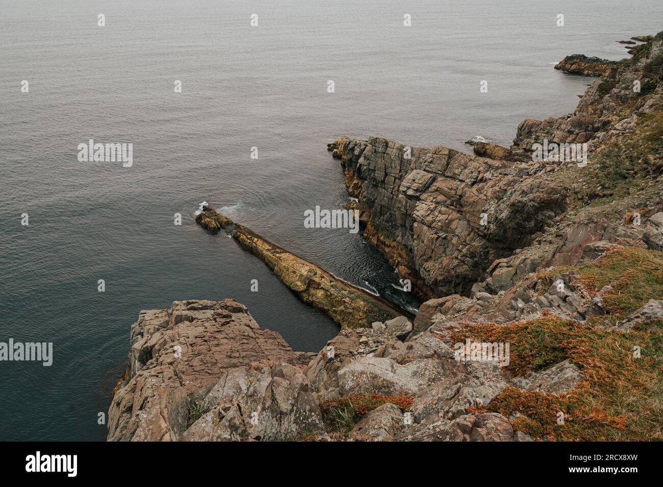 Blick von oben auf die zerklüftete felsige Küste von Neufundland. Stockfoto