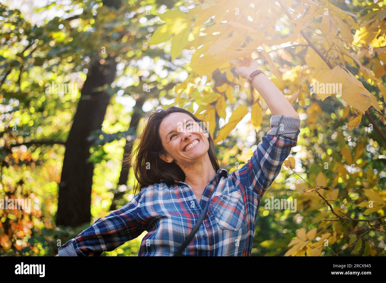 Lächelnde braune Frau mittleren Alters, die gelbe Herbstblätter bewundert Stockfoto