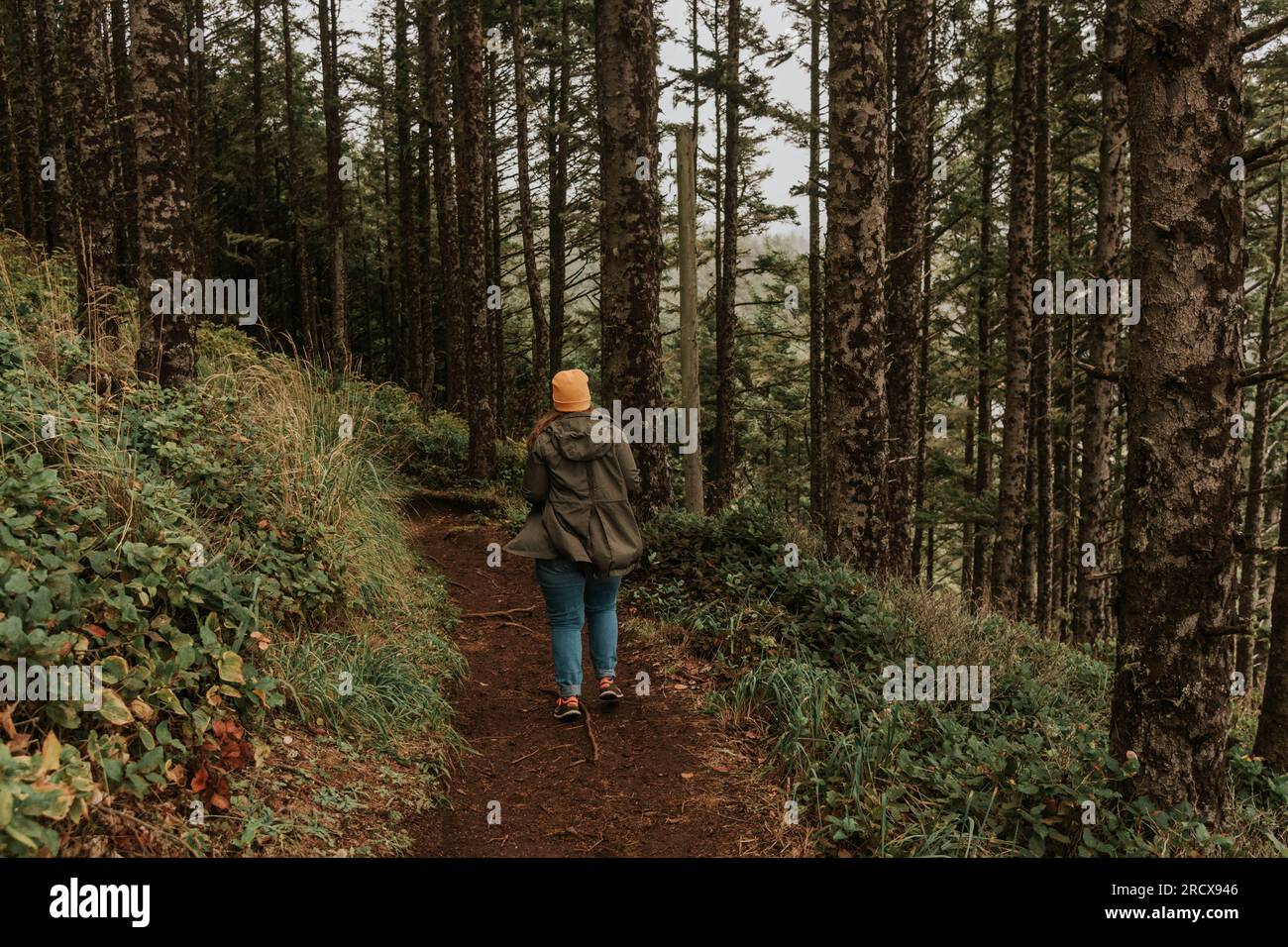 Frau wandert auf einem regnerischen Pfad im Wald, Florenz, ODER Stockfoto