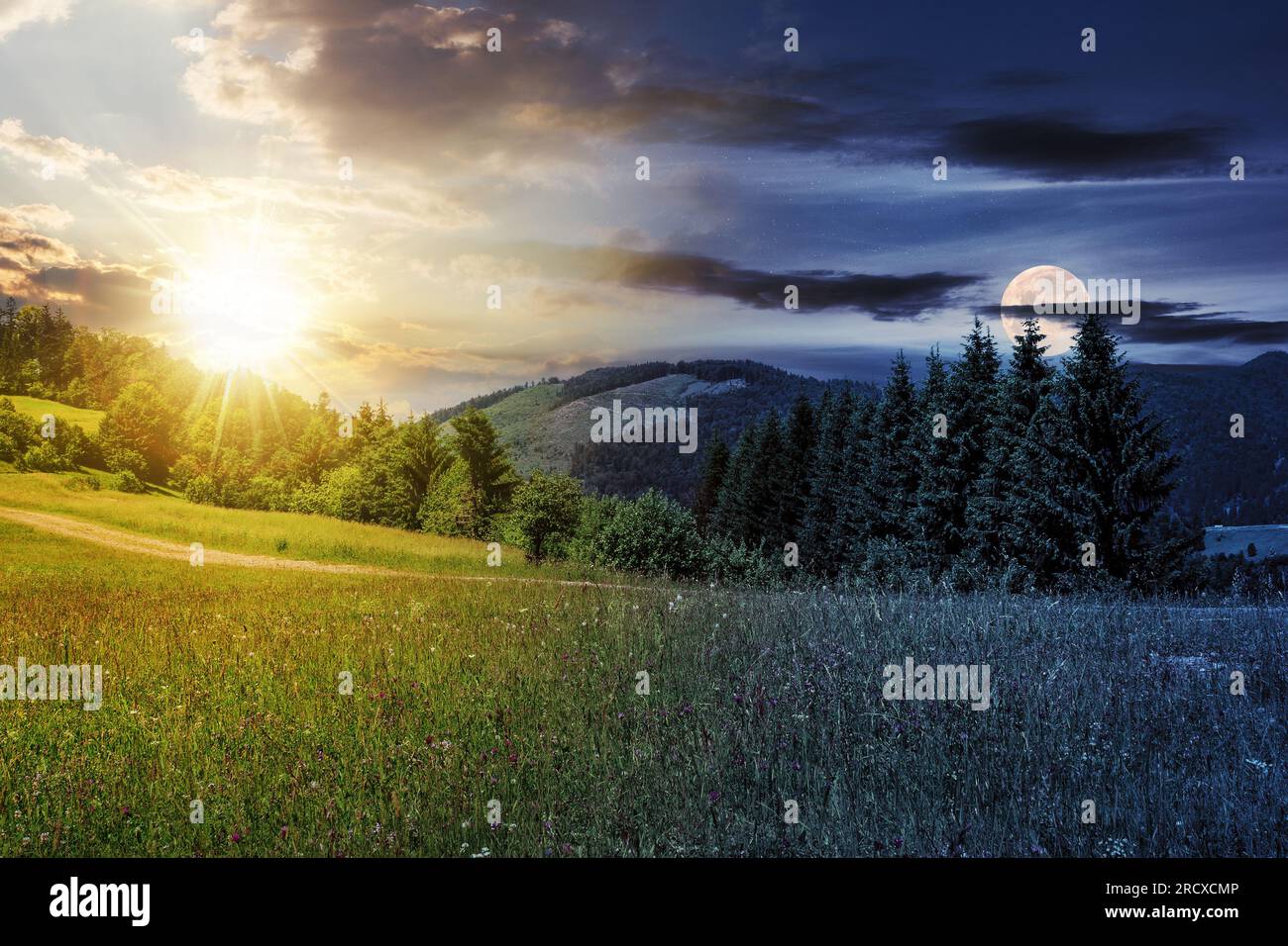 Tag- und Nachtzeit-Änderungskonzept. Große Wiese mit Pinien auf dem Hügel vor einem Berg mit Sonne und Mond in der Dämmerung Stockfoto