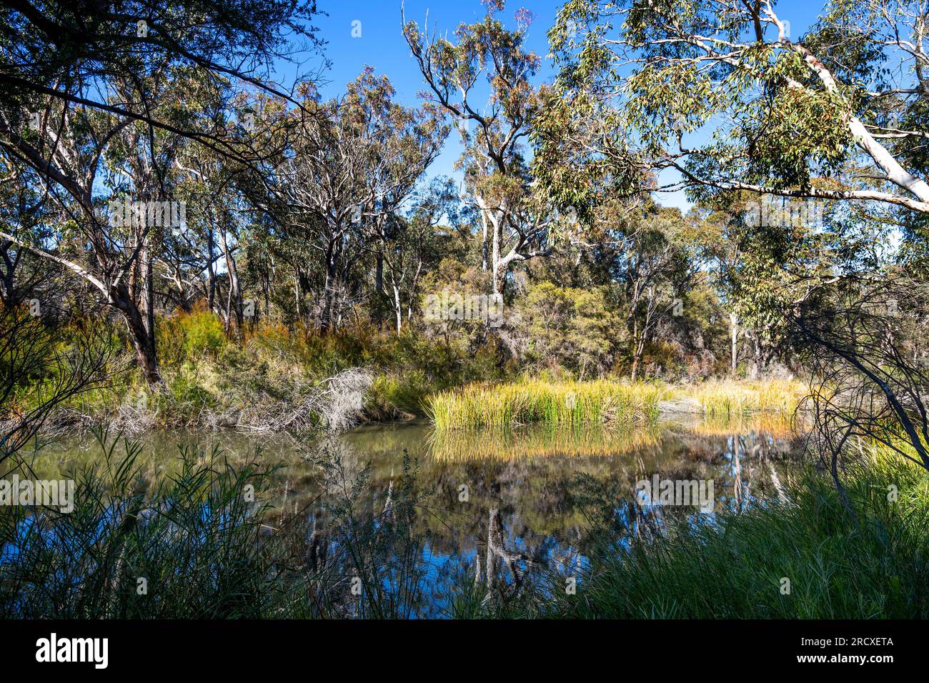 Dr. Robert's Waterhole, Girraween-Nationalpark, Südost-Queensland, Australien Stockfoto