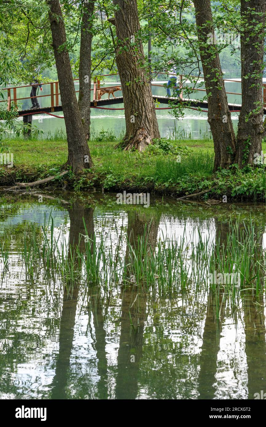 Eine hölzerne Brücke überquert Bäche, die in den Pliva-See am Stadtrand von Jajce einmünden. Zentralbosnisch-Herzegowina, Balkan-Halbinsel, Ost-Eur Stockfoto