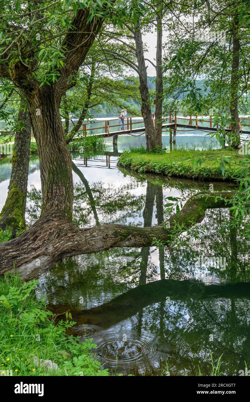 Eine hölzerne Brücke überquert Bäche, die in den Pliva-See am Stadtrand von Jajce einmünden. Zentralbosnisch-Herzegowina, Balkan-Halbinsel, Ost-Eur Stockfoto