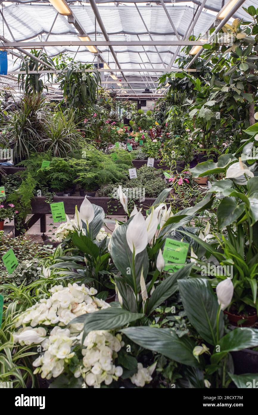 Große Glashalle mit Pflanzen in einem Gartenzentrum Stockfoto