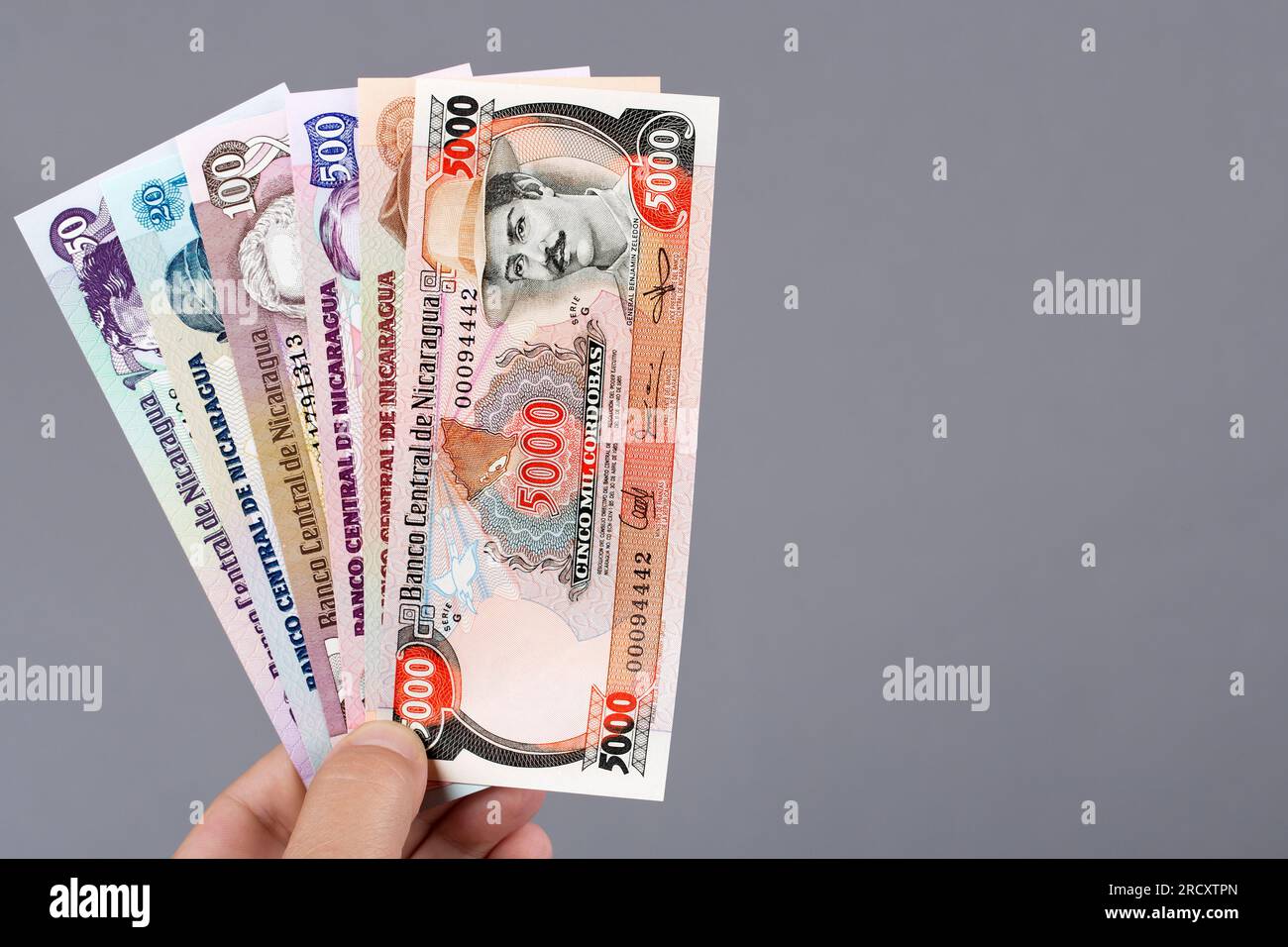 Nicaraguanisches Geld - cordoba in der Hand auf grauem Hintergrund Stockfoto