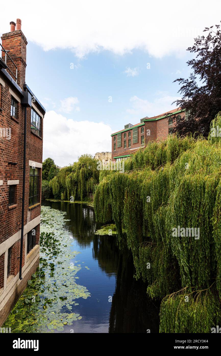 Der Fluss Ouse in York City, Großbritannien, River Ouse, River Ouse York, York River, Flüsse, Ouse, River, Ouse River, Ouse River York, York UK, Yorkshire, Stockfoto