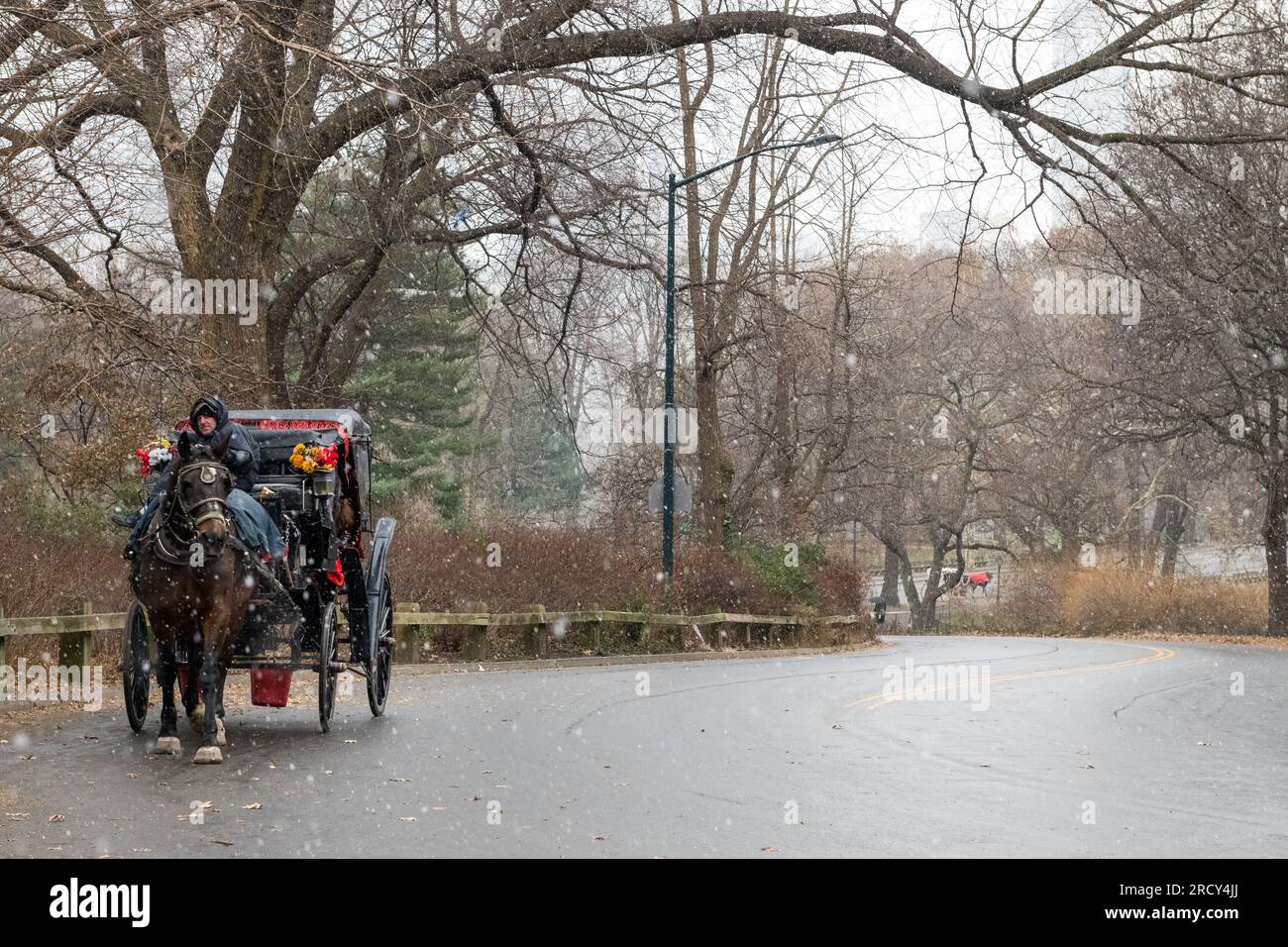Pferdekutsche, die Touristen durch den Central Park bei einem Schneefall bringt Stockfoto